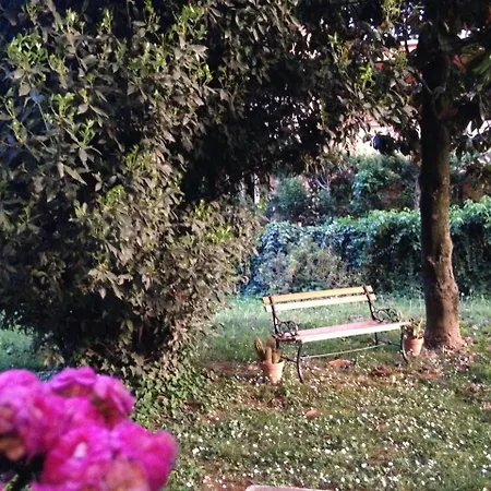 Viamilano25 * ميراندولا