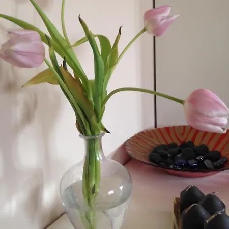 Viamilano25 Bed and Breakfast *