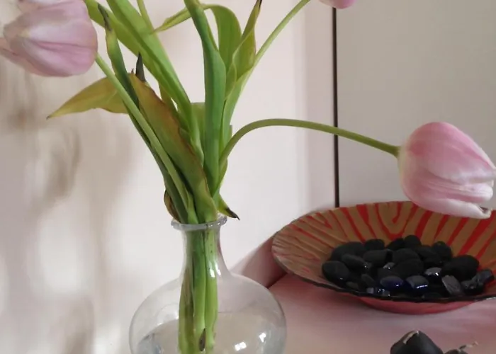 Viamilano25 Bed & Breakfast *